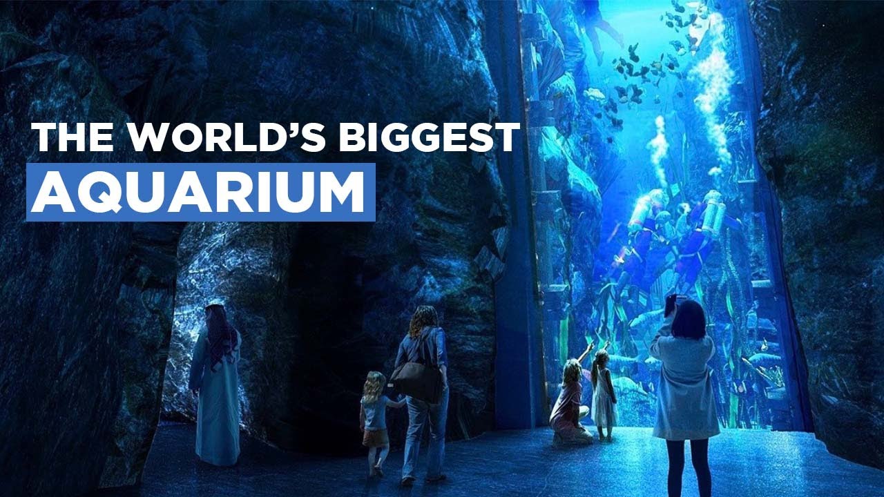 Abu Dhabi Is Building the World’s Largest Aquarium