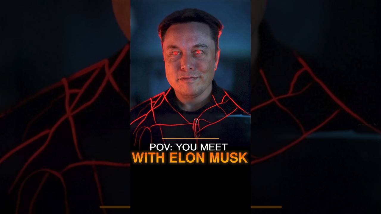 POV: You Meet With Elon Musk